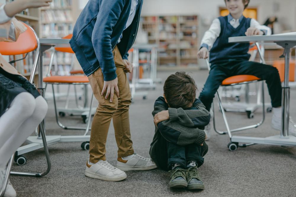 harcèlement et difficultés scolaires à Lyon